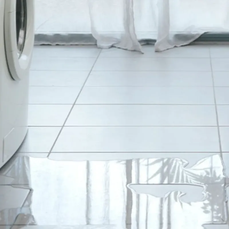 Appliance Leak Cleanup in North Key Largo, FL