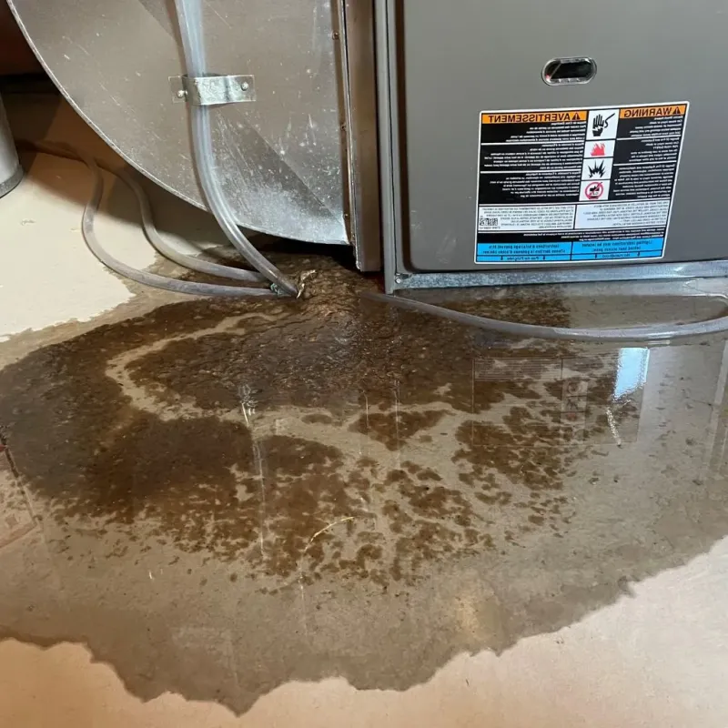Pipe Burst and Leak Restoration in North Key Largo, FL